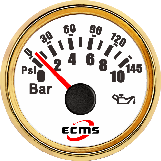 ECP/ECP2-10Bar壓力表