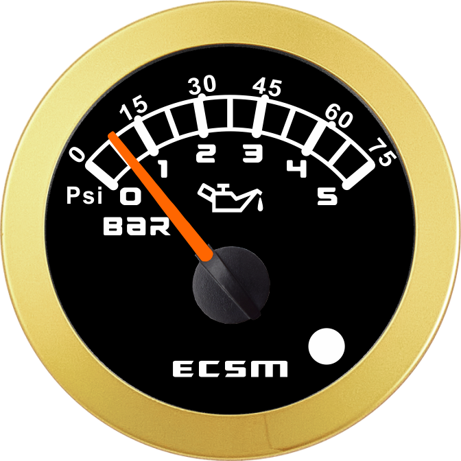 ECT-5Bar壓力表-帶報(bào)警